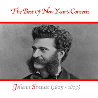 Johann Strauss - The Blue Danube Op. 314